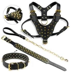 Dog Gold Bully Harness Collar Leash Set for Large Dogs *Big Dog Chain Leash* - Picture 1 of 13