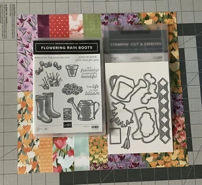 Juego de estampillas y troqueles de BOTAS DE LLUVIA FLORANTES y 12 hojas DSP (6”x6”) *NUEVO* Foto 1 de 3