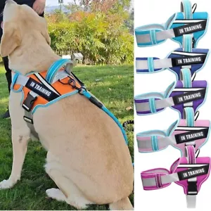 Reflective Dog Vest Padded Dog Harness Patches THERAPY DOG Do not Pet Emotional - Picture 1 of 12