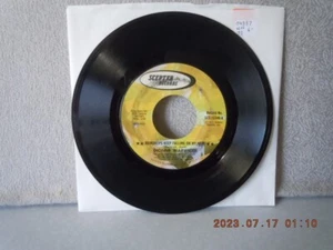 WARWICK,DIONNE 7"vinyl...RAINDROPS KEEP FALLIN/IS THERE...SCEPTER...VG++...'72 - Foto 1 di 2