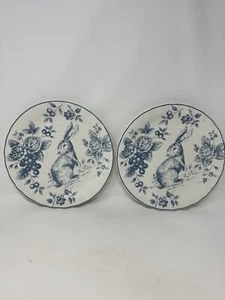 Maxcera BLUE TOILETTE ~ HASE ~ HASE ~ OSTERN ~ 9-1/4" GERIFFELT MITTAGESSEN TELLER ~ NEU Rarität - Bild 1 von 13