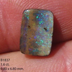 Boulder Solid Opal 1.60 TCW 100% Natural Solid Ready To Set in Jewelry B1837 - Bild 1 von 3
