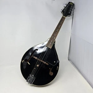 Rogue Mandoline RM100A in gutem Zustand Vintage Saiteninstrument - Bild 1 von 12