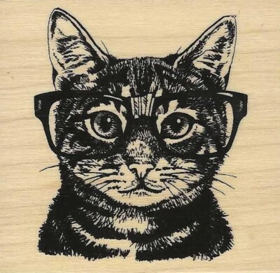 Gato en gafas grandes SELLO DE GOMA divertido nerd atigrado gatito gato NUEVO nerd Foto 1 de 2