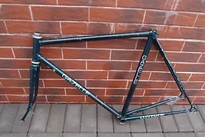 Gazelle Champion mondial roadbike frameset 700C steel Reynolds 531 Campagnolo 55 - Picture 1 of 24