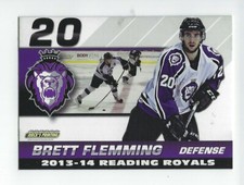2013-14 Reading Royals (ECHL) Brett Flemming (Vienna Capitals)