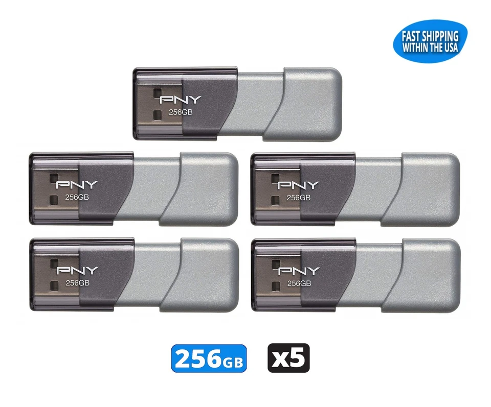PNY P-FD256TBOP-GE 256GB Turbo USB Flash Drive