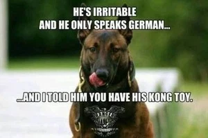 German shepherd refrigerator magnet 2 1/2x 3 1/2" - Picture 1 of 1
