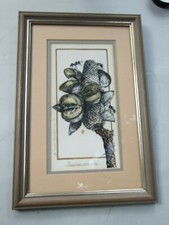 VICKI DEWSBURRY BANKSIA SERRATA BOTANICAL INK & HAND COLOURED ART SIGNED