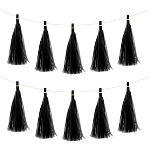 25Pcs Black Tassel Garland Banner with Rope - Picture 1 of 7