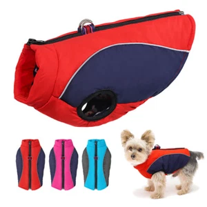 Manteau pour Petits chiens Veste d'hiver pour chien chaud Réfléchissant XS-XL - Imagen 1 de 15