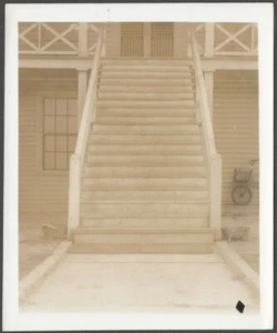Scale per casa effetto simmetrico gradini legno portico architettura originale snapshot - Foto 1 di 1