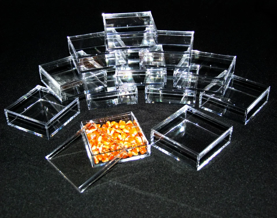 Cajas de almacenamiento cuadradas de cuentas/gemas de acrílico transparente de 2 por 2 pulgadas 12 CANTIDADES Foto 1 de 1