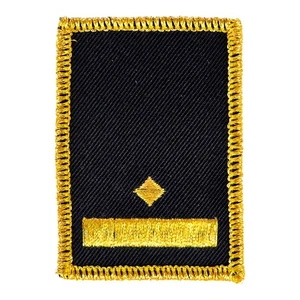 Klettabzeichen WW  1 Balken gold + 1 Stern + Paspel - Picture 1 of 1