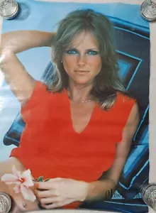 Vintage Pro Arts 1977 Cheryl Tiegs 20"x28"Poster/New/Never Hung - Picture 1 of 2