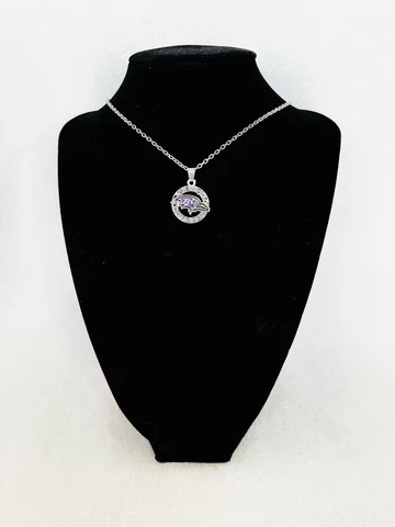 2012 Baltimore Ravens Championship Pendant, US SHIP Cover