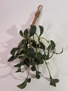 Pier 1 Imports Grappolo di Vischio Natale con Spago Wrap 16" Artificiale Vacanze - Foto 1 di 3