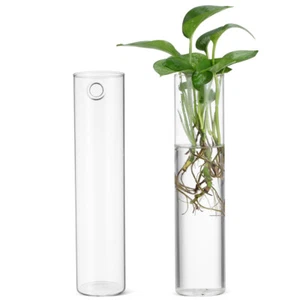 2pcs Wall Planters Glass Vases Hanging Propagation Stations Clear Plants - Picture 1 of 11