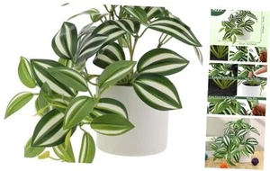 Mini Artificial Plant Potted Indoor Decoration in White Pot Fake Plants - Picture 1 of 7