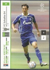 PANINI CHAMPIONS LEAGUE TRADING CARD 2007-08- #029-FC SCHALKE 04-MLADEN KRSTAJIC