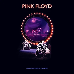 PINK FLOYD Delicate Sound of Thunder Remix 23 Songs Warner Music 2 CD New Sealed - Imagen 1 de 2