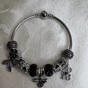 Silver Plated Amethyst 11 Charm Bangle Graduate Dream Achieve Believe. - Picture 1 of 8