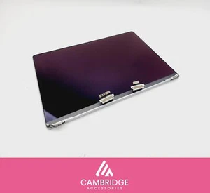 Genuine Apple MacBook Pro A2485 2021 M1 16" LCD Display Screen Assembly Silver - Afbeelding 1 van 33