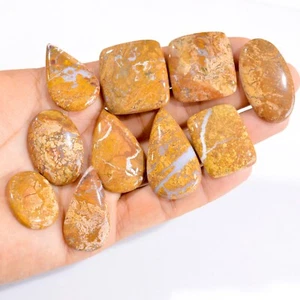 Lote de 10 piezas de piedras preciosas de cabujón de jaspe paisaje natural de 349 quilates 26x19-42x22 mm #2837 - Imagen 1 de 4