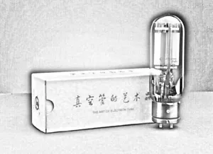 845B 845 / coppia abbinata / ShuGuang / tubo vuoto / amplificatore valvola / scatola originale - Foto 1 di 13