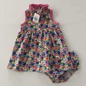 Ralph Lauren 9 Months Baby Girl Pink Floral Dress NWT Spring Summer - Picture 1 of 7