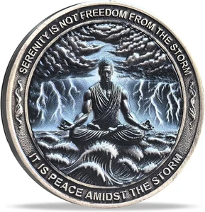 Serenity Peace Within The Storm Sobriety Chip AA Medallion Recovery Gift - Picture 1 of 6