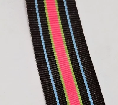 Cinta de grosgrain de 7/8" 3 yardas negro azul verde rosa intenso borde a rayas nueva Foto 1 de 3