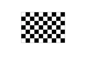 NEW Black/White Checker Replacement Flag ATV Bicycle Rhino UTV - Picture 1 of 2