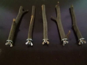 7er Set Sitzstangen für Vögel und Nager aus Buche oder Esche Länge  10 bis 50 cm - Bild 1 von 6