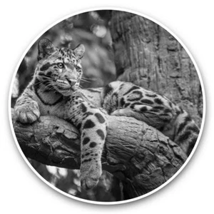 2 x Vinyl Stickers 20cm (bw) - Clouded Leopard Wild Cat #39009 - Photo 1/8