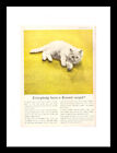 Framed vintage PUNCH Advert - 19th Feb 1958. Kosset Carpet, cat