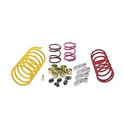 Neumáticos de embrague deportivo EPI 0-3000 30-32" para Polaris RZR XP 1000 2017 Foto 1 de 1