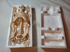 Educational Skeleton Model Science, Medical, 32 Inches. Movable Joints