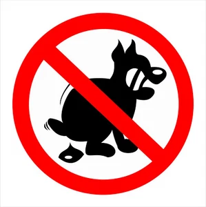 Verbotsschild Funschild " Hunde koten verboten " - Bild 1 von 1