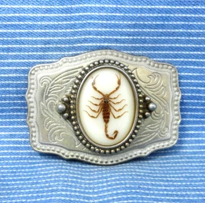 Real Scorpion Belt Buckle SW Desert Western Scroll Cowboy Vaquero Vtg 80s.CPA471 - Picture 1 of 8