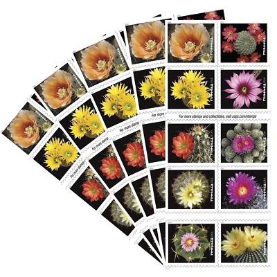 Cactus Flowers Booklet Stamps 100 First Class Mail Stamps Collection - Image 1 of 2