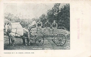 Postal LP69 Lincoln Nebraska Exageration Corn 1907 - Imagen 1 de 2