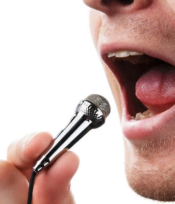 Mini Microphone - Image 1 of 3