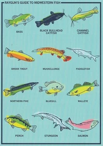 Postal EE. UU. Guía de ilustraciones de gráficos de peces del Medio Oeste sin usar COMO NUEVO - Imagen 1 de 1
