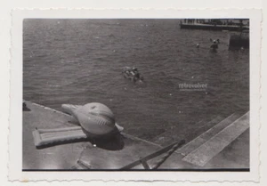 Inflatable Shark Relaxing by the Pool Summer Days Snapshot Artsy Abstract Photo - Picture 1 of 7