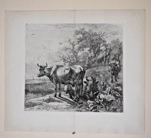 Paulus Potter (1625 - 1654), The Cowherd (The Herdsman), 1643 etching - Picture 1 of 3