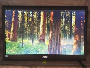 AOC E950SWN 18.5" LED Display Computer Monitor With VGA *No Stand* - Picture 1 of 12