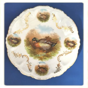 Set Of Six Antique Game Plates, PM Bavaria Birds Germany - Picture 1 of 7