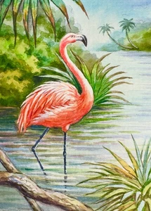 Watercolor Painting Flamingo Bird Nature Seascape Landscape ACEO Art No.413 - Picture 1 of 2