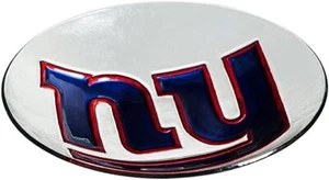 NFL Hand Painted Team Logo Glass Bird Bath - Picture 1 of 14